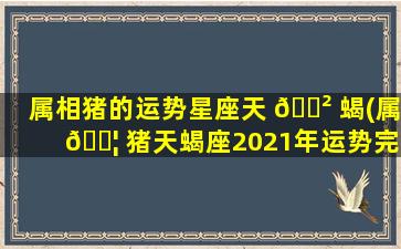 属相猪的运势星座天 🌲 蝎(属 🐦 猪天蝎座2021年运势完整版)